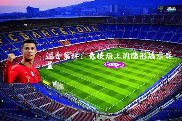 混合草坪:竞技场上的隐形战术变量