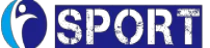 九游娱乐官方Logo